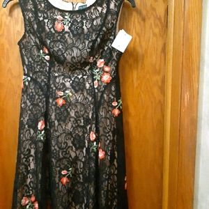 Gabby Skye multicolor